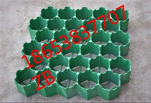 臨沂植草格 塑料植草格批發(fā)與建筑建材應(yīng)用特點