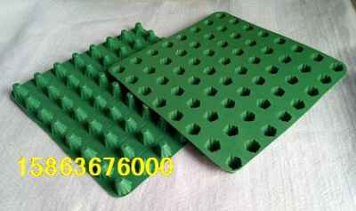 湖北十堰樓頂綠化塑料排水板市場迎來新機遇，建筑建材行業(yè)綠色轉(zhuǎn)型提速