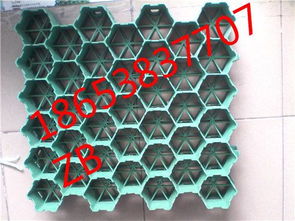 濟寧塑料植草格廠家推薦及產(chǎn)品圖片展示